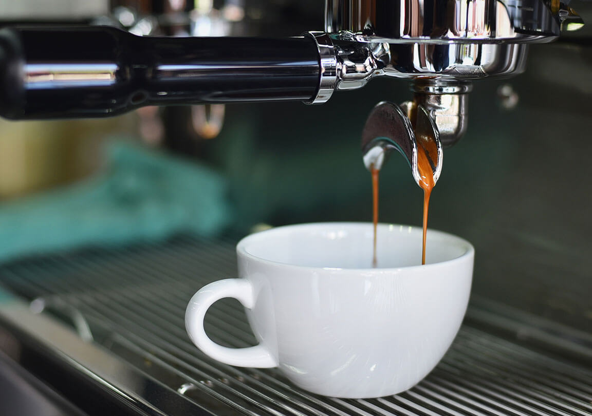 El Programa gallery 02 free img