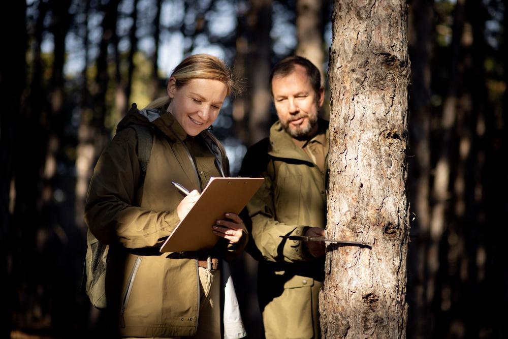 inicip player video 2149309593