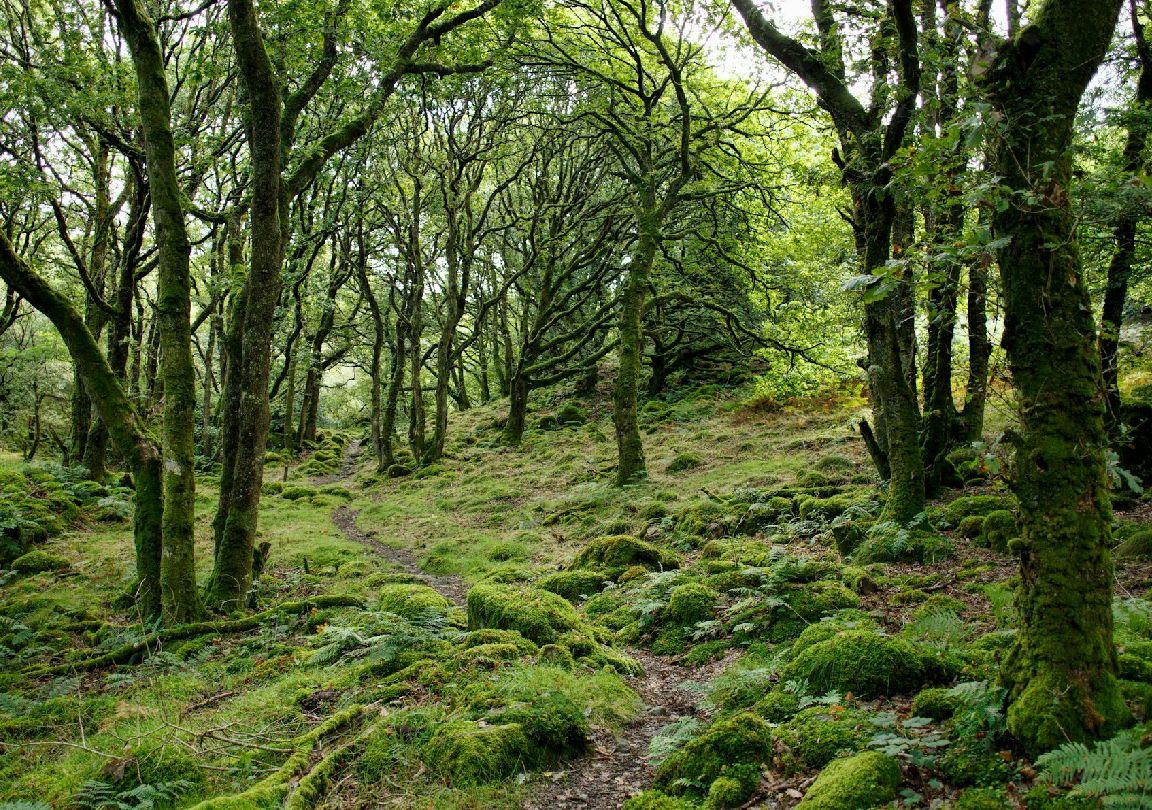 Objetivos y Resultados slider dcho 02