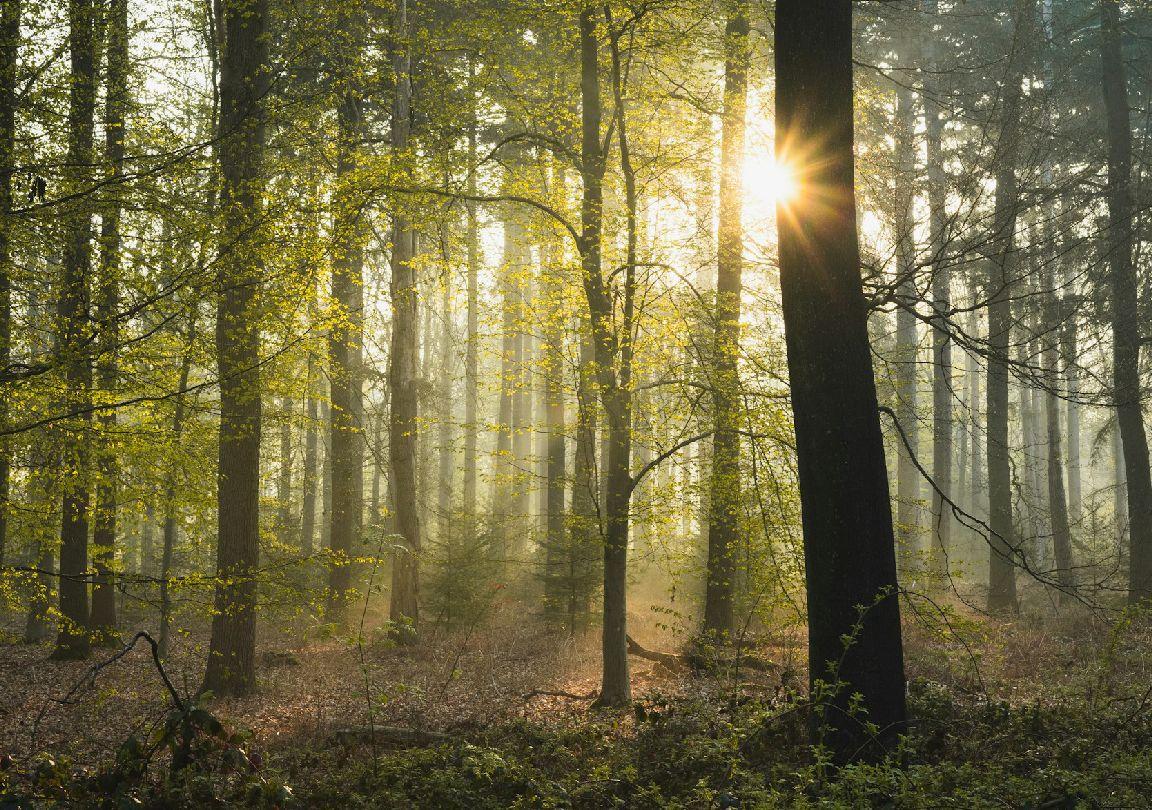 Objetivos y Resultados slider dcho 03