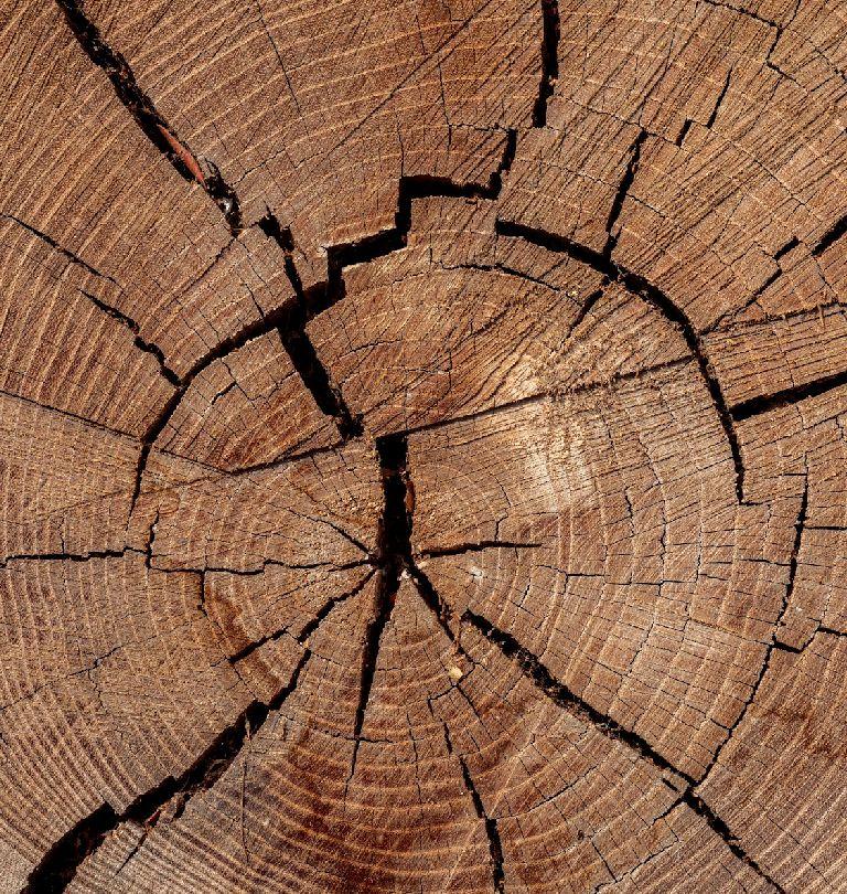 Objetivos y Resultados slider izq 01