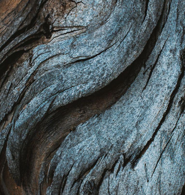 Objetivos y Resultados slider izq 03